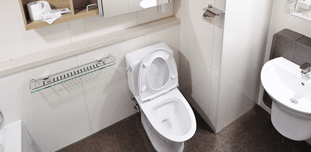 Bathroom Toilet